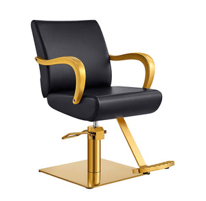 Meteor Gold Salon Styling Chair
