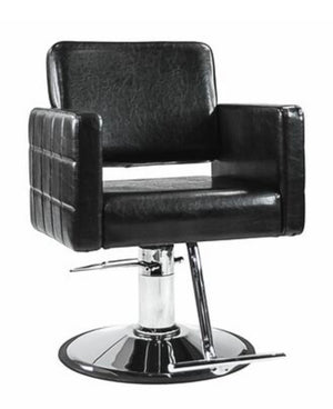 Ayla Styling Chair W/ A13 Pump