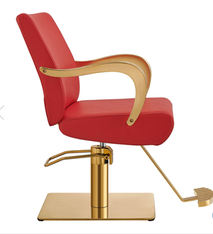 Meteor Gold Salon Styling Chair