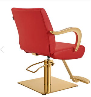 Meteor Gold Salon Styling Chair