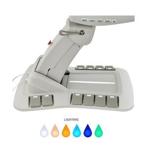 Aurora Medical Spa Table with 4 Motors, Plus Hand & Foot Remote