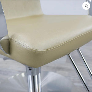 Serena Salon Chair