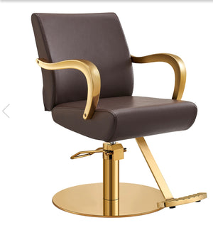 Meteor Gold Salon Styling Chair