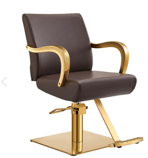 Meteor Gold Salon Styling Chair