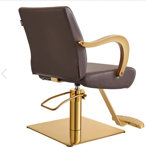 Meteor Gold Salon Styling Chair