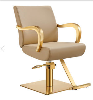 Meteor Gold Salon Styling Chair