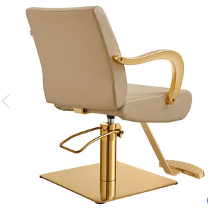 Meteor Gold Salon Styling Chair