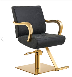 Meteor Gold Salon Styling Chair