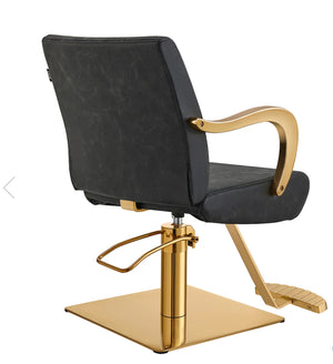 Meteor Gold Salon Styling Chair