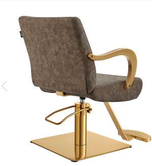 Meteor Gold Salon Styling Chair