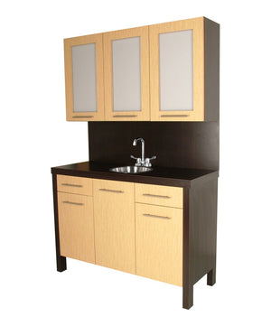 ALTA COLOR CENTER W/ STAINLESS STEEL SINK