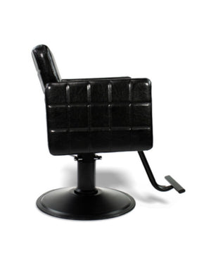 Ayla Styling Chair W/ A13 Pump